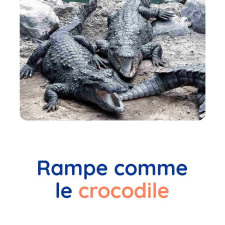 motricite-animaux-crocodile-babilou