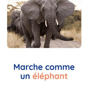 motricite-animaux-elephant-babilou