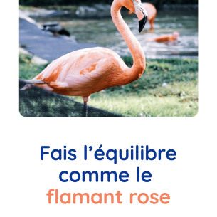 motricite-animaux-flamant-rose-babilou