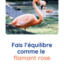 motricite-animaux-flamant-rose-babilou