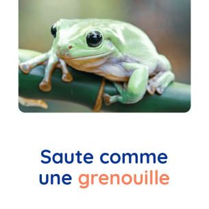 motricite-animaux-grenouille-babilou