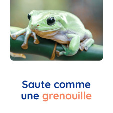 motricite-animaux-grenouille-babilou