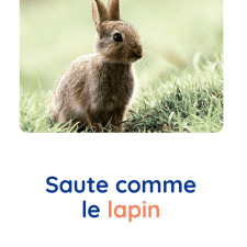 motricite-animaux-lapin-babilou