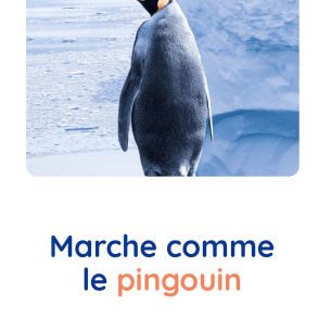 motricite-animaux-pingouin-babilou