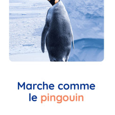 motricite-animaux-pingouin-babilou