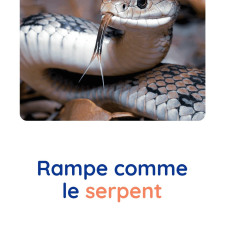 motricite-animaux-serpent-babilou