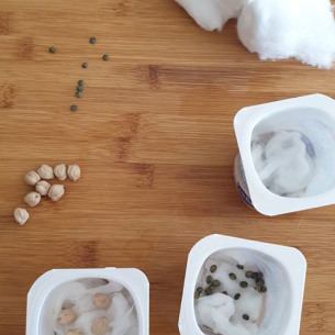 activite-jardin-et-recyclage-enfant-babilou