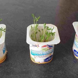 activite-jardinage-recuperation-babilou