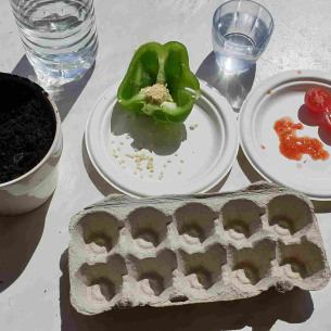 activite-jardinage-recyclage-enfant-babilou