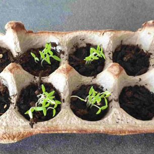 activite-recyclage-et-jardinage-babilou