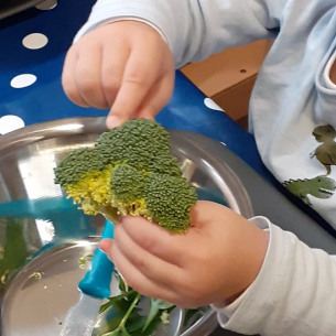 Activité-Légumes-textures-Babilou