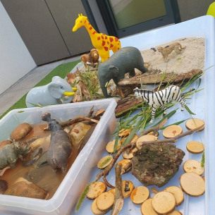 Activité-eau-nature-bois-Babilou