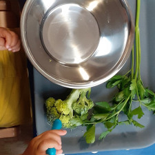 Activité-enfant-automne-légumes-Babilou