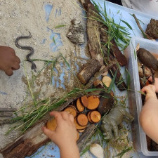 Activité-nature-animaux-Babilouu