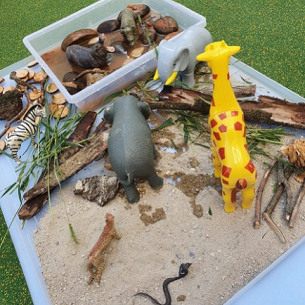 Animaux-Nature-bac-végétaux-Babilou