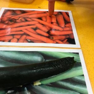 Activité légumes - courgettes - carottes - Babilou