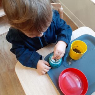 04 - Activité nature - germination de lentilles - Babilou