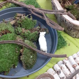 Activité - vache- végétaux - Babilou