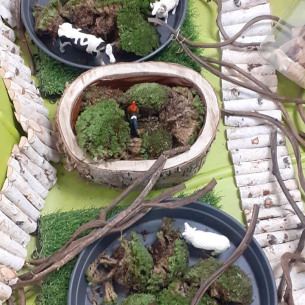 Activité nature et animaux - Babilou