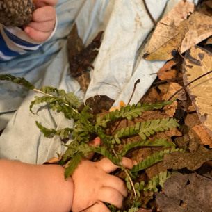 Immersion forêt - nature, matériels - Babilou
