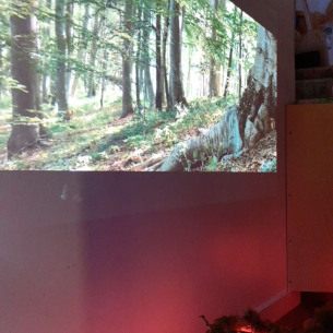 Immersion forêt grandeur nature - Babilou