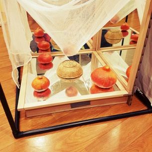 Immersion nature crèche - BABILOU