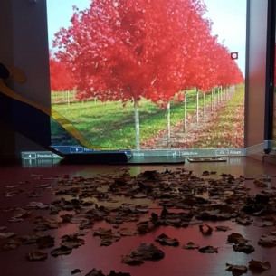 inattendu-quotidien-creche-photo4