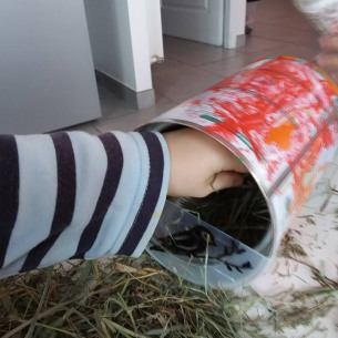 Construire un nichoir à oiseau - Babilou