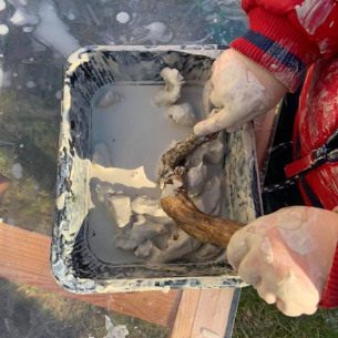 Activité modelage - Babilou