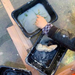 Manipuler de l'argile en crèche - Babilou