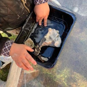 Modelage argile - Babilou