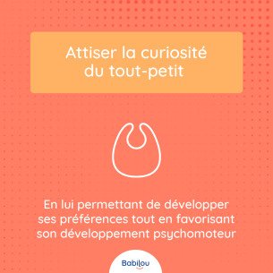 carrousel-dme-image_babilou2