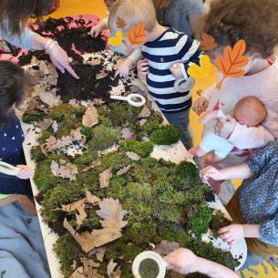 Activité nature - insectes - Babilou