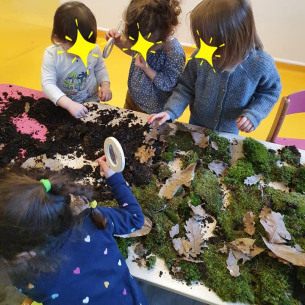 Observation d'insectes - Babilou