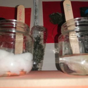 Potager maison - Enfant Babilou