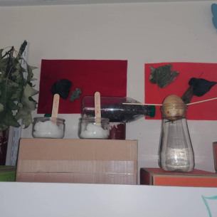 Sensibilisation aux légumes et fruits Babilou