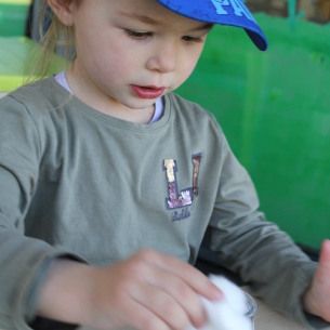 Germer des lentilles pots montres - Babilou