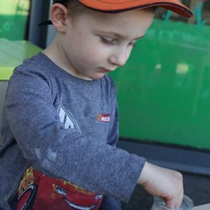 Germination Lentilles Pots - Babilou