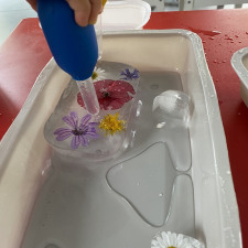 activité-nature-glace-et-fleurs-Babilou