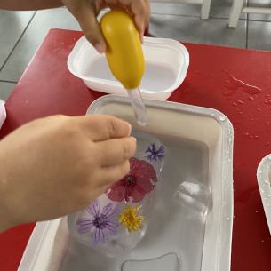 glace-fleurs-activité-Babilou