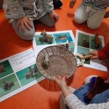 atelier-imagiers-animaux-enfants-Babilou