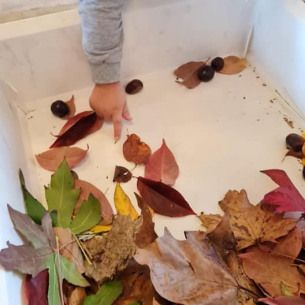 Activite-sensorielle-automne-Babilou