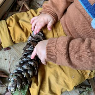 Manipulation d'une pomme de pin par un enfant