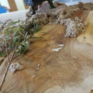 Une boite sensorielle fabriquée avec du sable et des feuilles