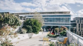 Photo de la terrasse du siège Babilou
